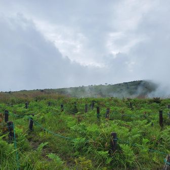 山頂方面