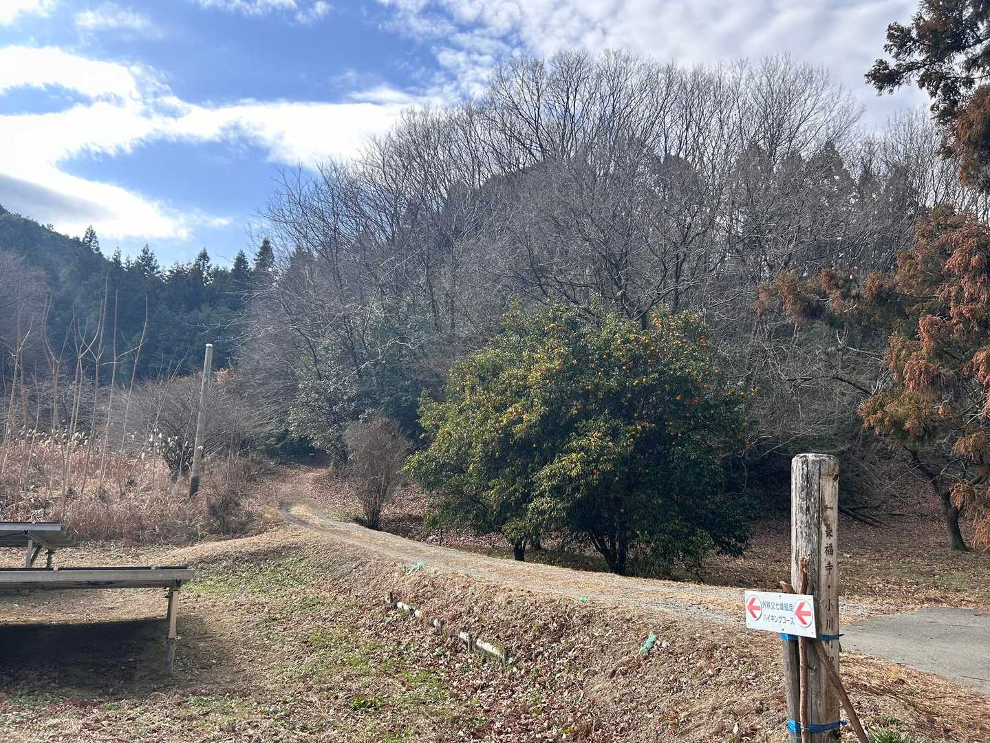 官ノ倉山 往復コースの写真