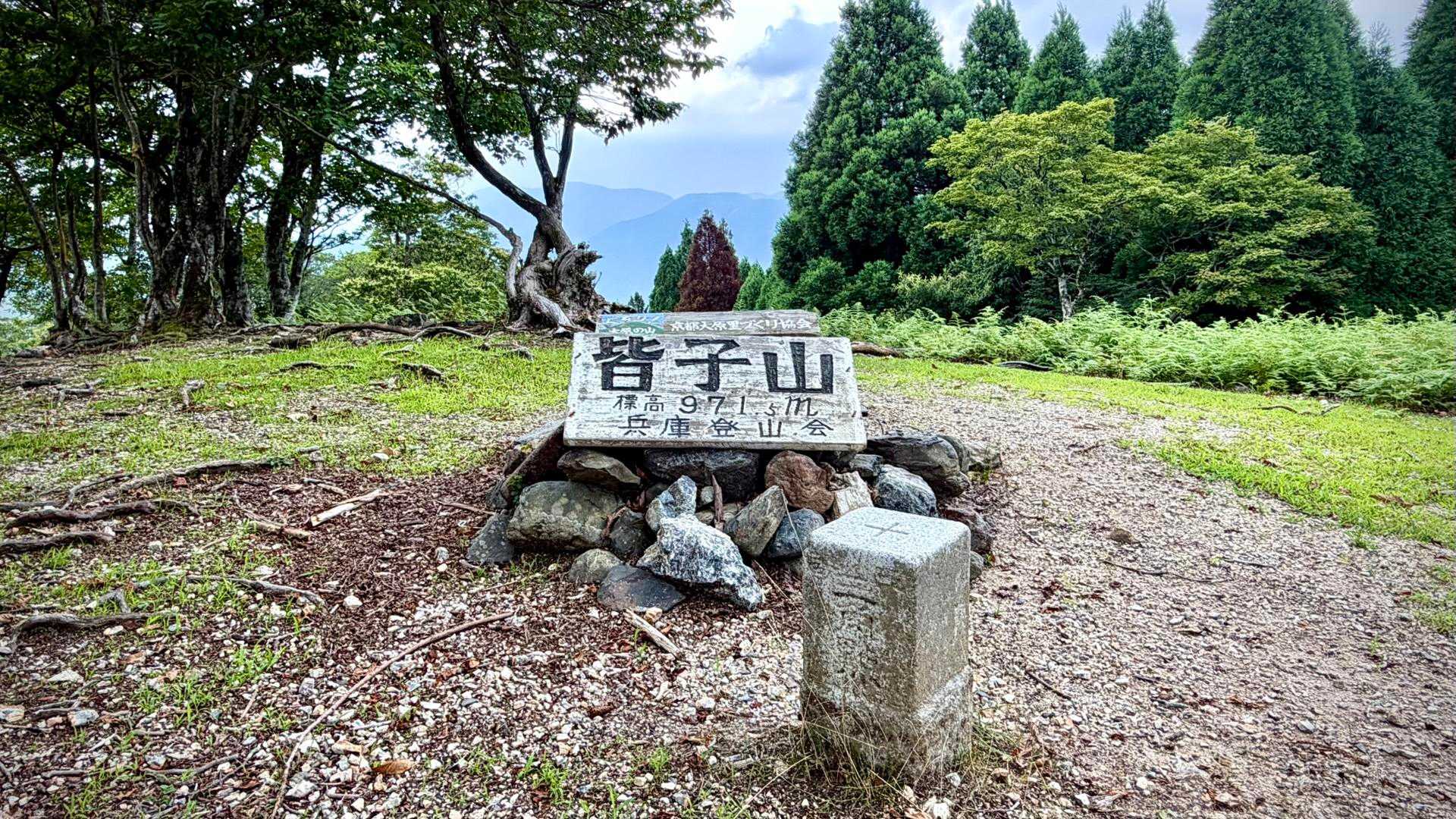山採り　ヤマモミジ　【品番3670】 京都府最高峰⛰️“皆子山” / 𝑺𝒕𝒂𝒓🌟𝑪𝒓𝒐𝒔𝒔の登山データ