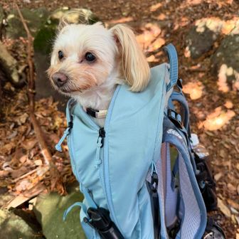 そして1番持久力ない