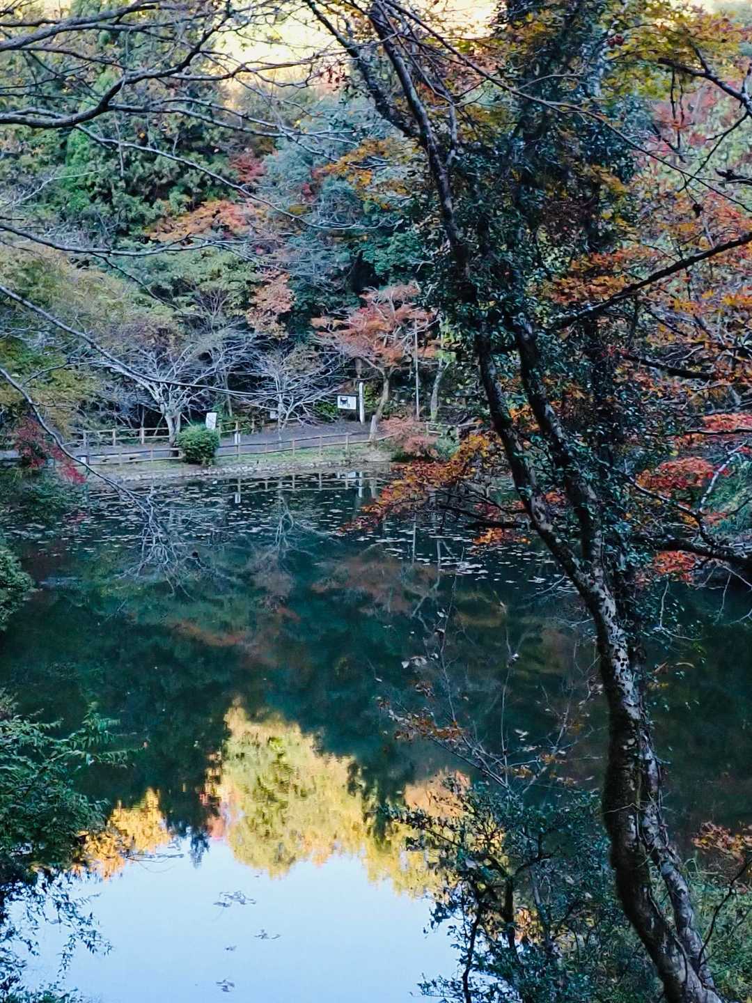 村国山登山口 往復コースの写真