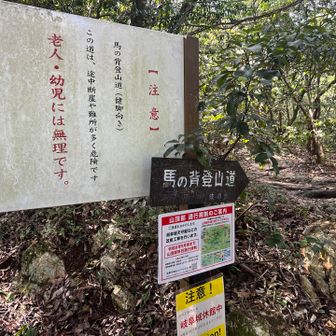 馬の背スタート！