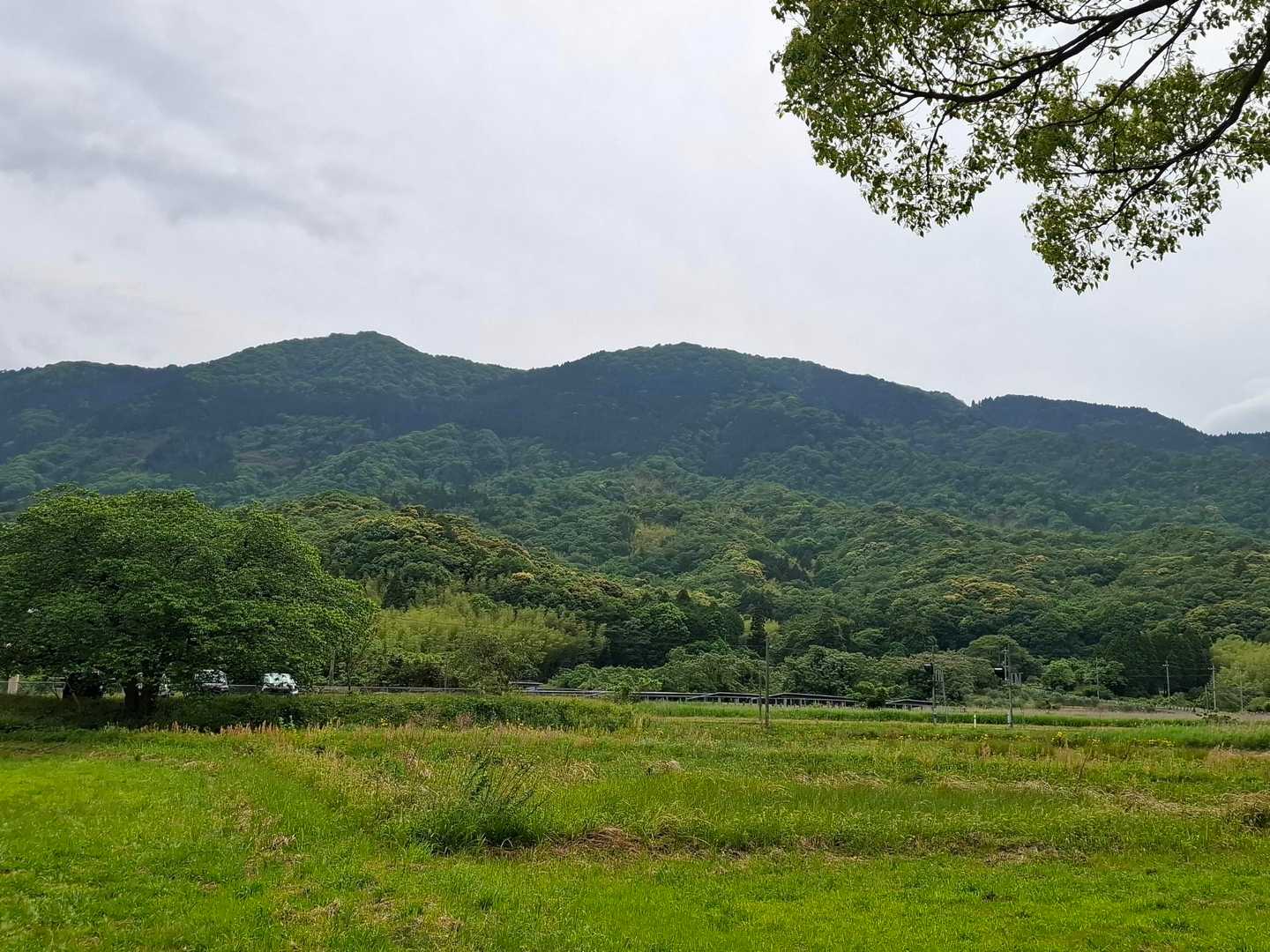 丹後由良駅-由良岳登山口-由良ヶ岳 往復コースの写真