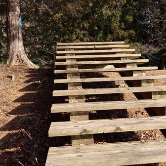 おらは歩げねっ…💦