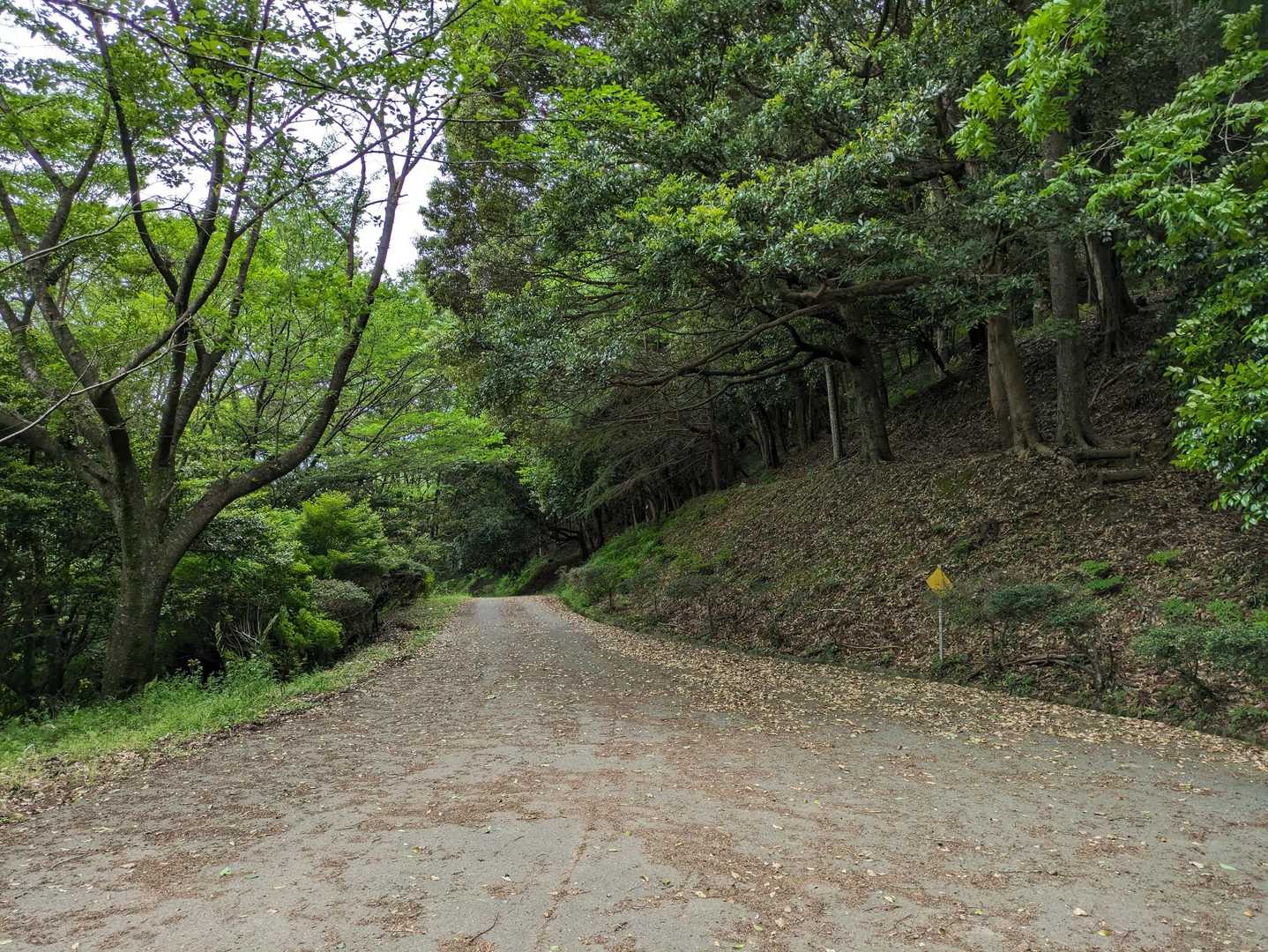 強風が避けられそうなとこはどこかな‥🤔
サビエル記念聖堂🔔見ながらのランチに決定✨☕️