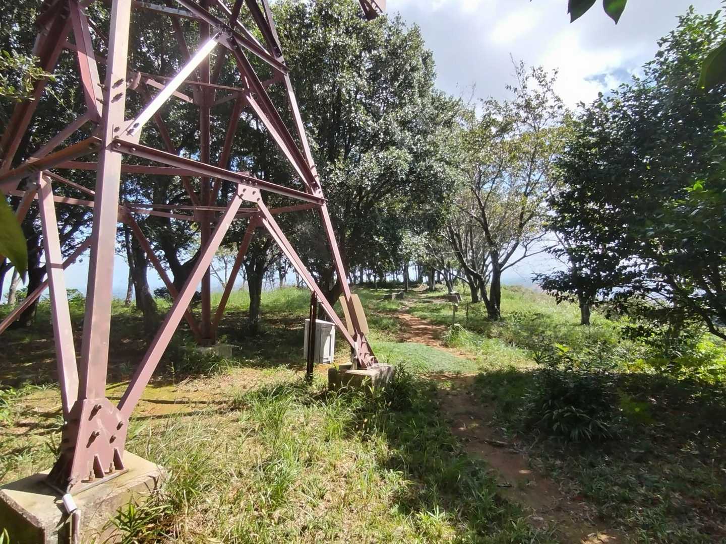 続いて和久羅山。山頂は広い。