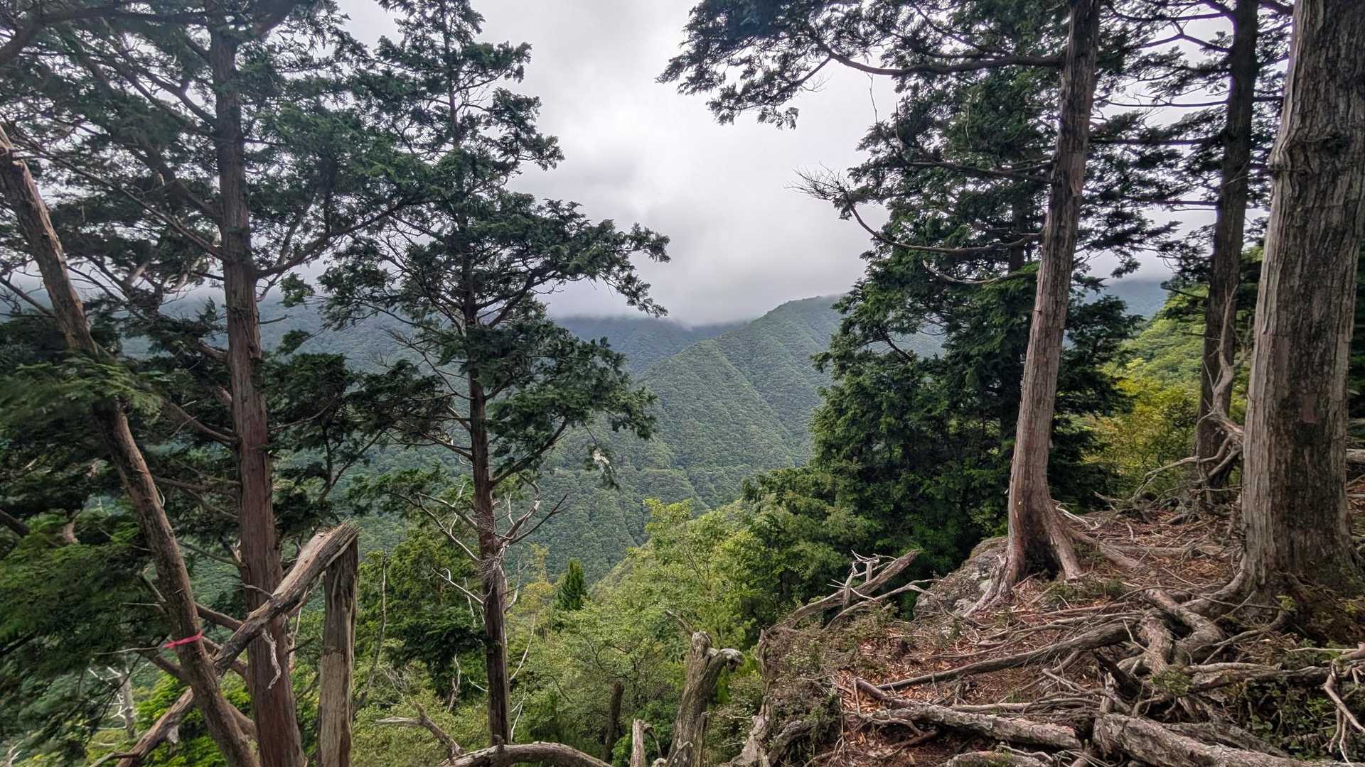 ちょっと景色が見えた✨️ガスガスだけど💦