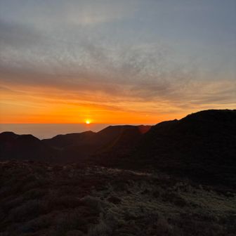 のんびり移動するかな