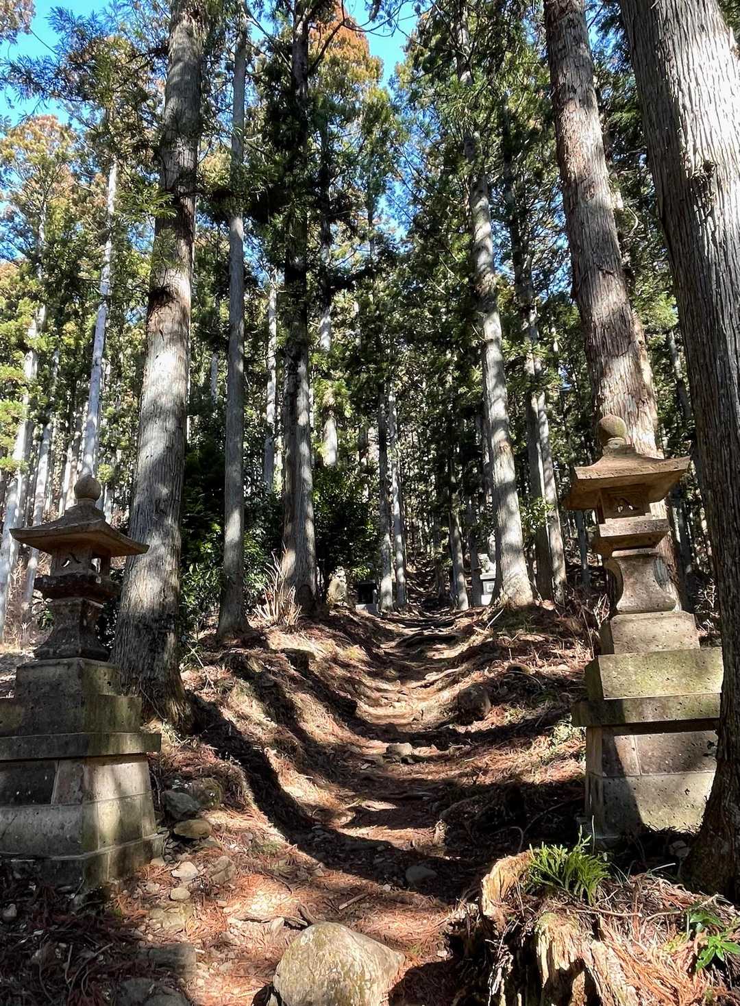 参道を登ります