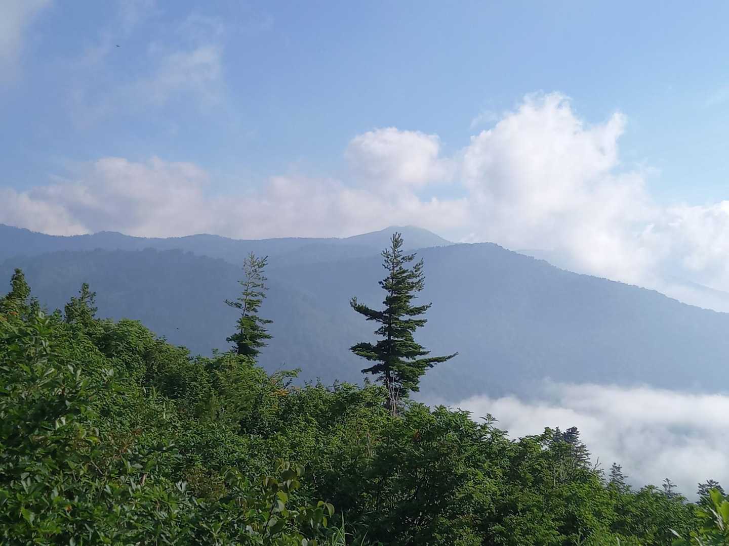 至仏山-小至仏山-鳩待峠 縦走コースの写真