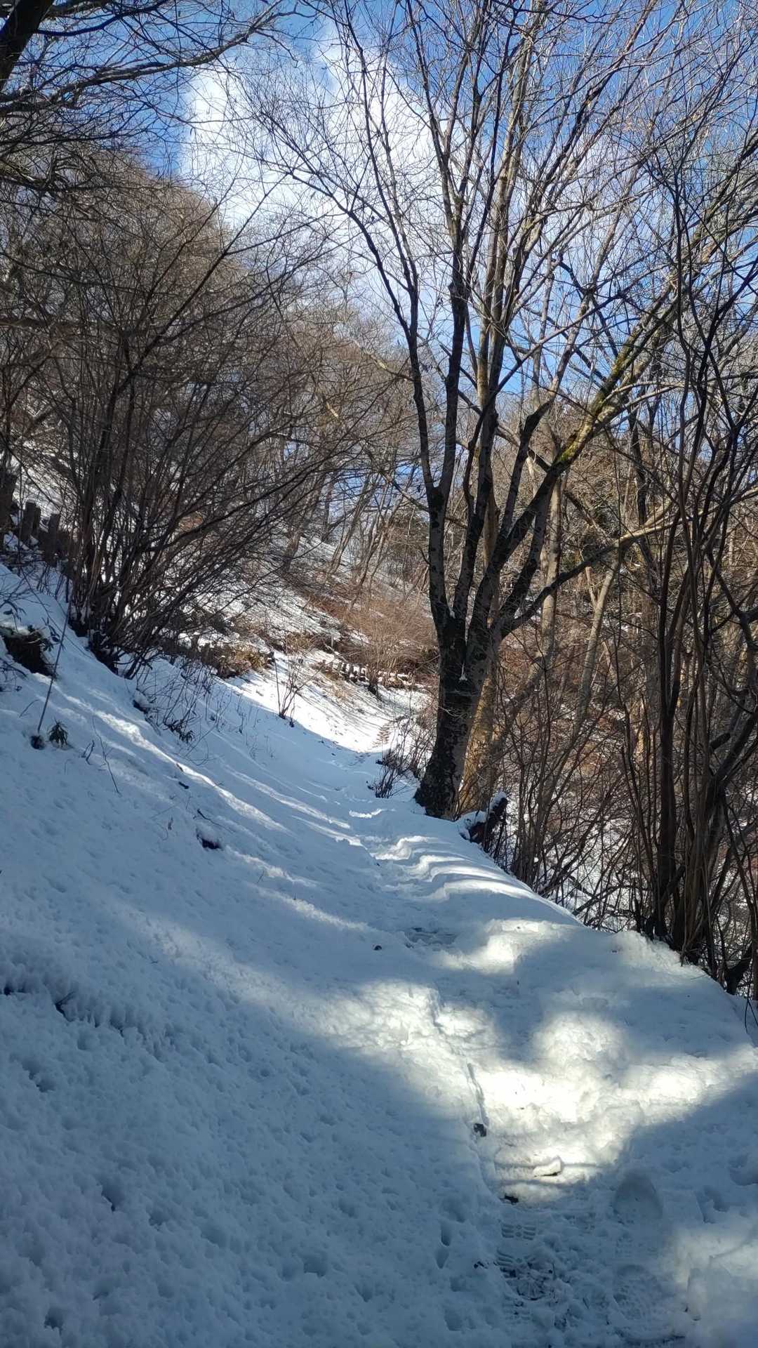 標高５００ｍくらいから雪がでてきました！