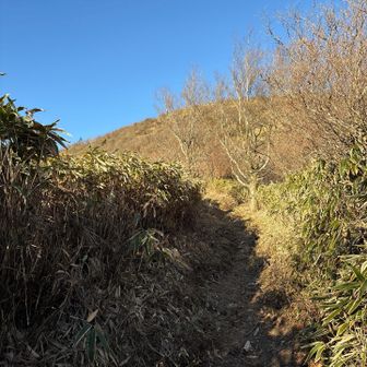 くねくね登り…山頂までもう少し‼️
それにしても…厚着しすぎもあって暑い気が💦