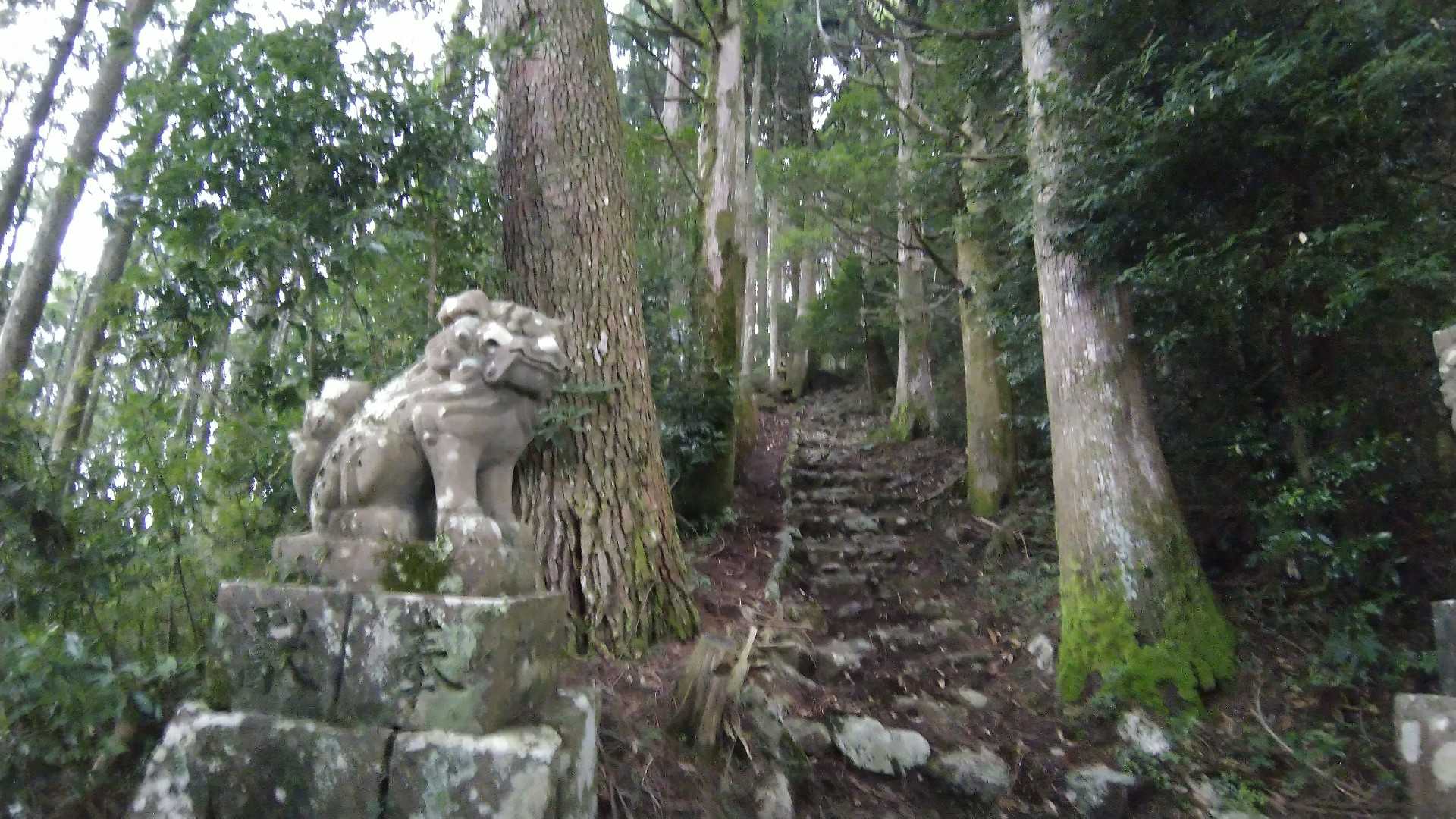 なんとか蜂は来なくなったが😌💦虻🪰はまだ追っかけてきている…ペースもあがらずしんどすぎる😅💦ブーンブーン