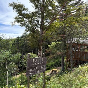 小屋🛖が見えた