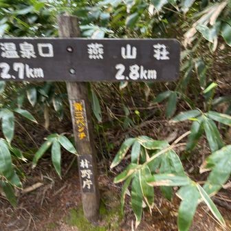 攣りそうな怪しさは両脚へ…
ここから急失速