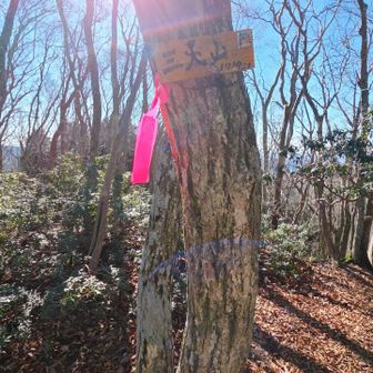 下山でも写真を撮る心の余裕など皆無でした


わずかなほっこりスペース
｢三人山｣のかわいい札♥️