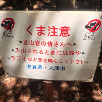 ひらがなで
くまって意外と書いてないような気がする🤫