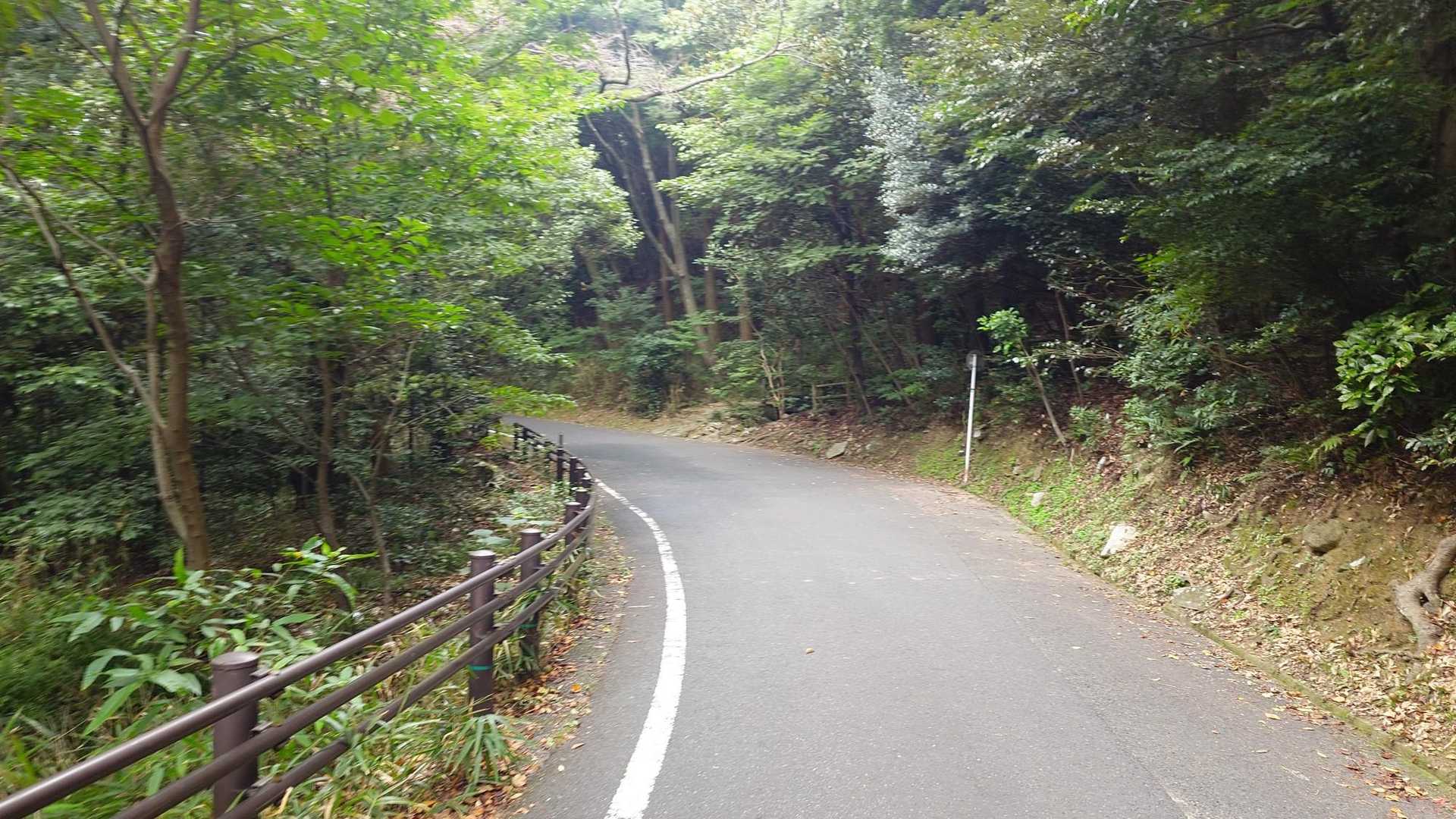 駐車場まで舗装路
山周辺には公園あったり地域の方も散歩されたりと親しまれている⛰️