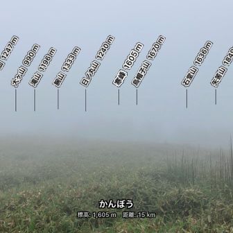 晴れてたら…きっと