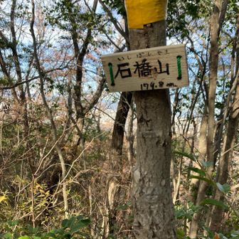 ここから先はピークが続々