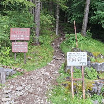 鳥倉登山口、いきしは暗かったから