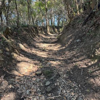 序盤はスノーボードのハーフパイプ並に
抉れた登山道を進む。