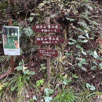 中級コース入口