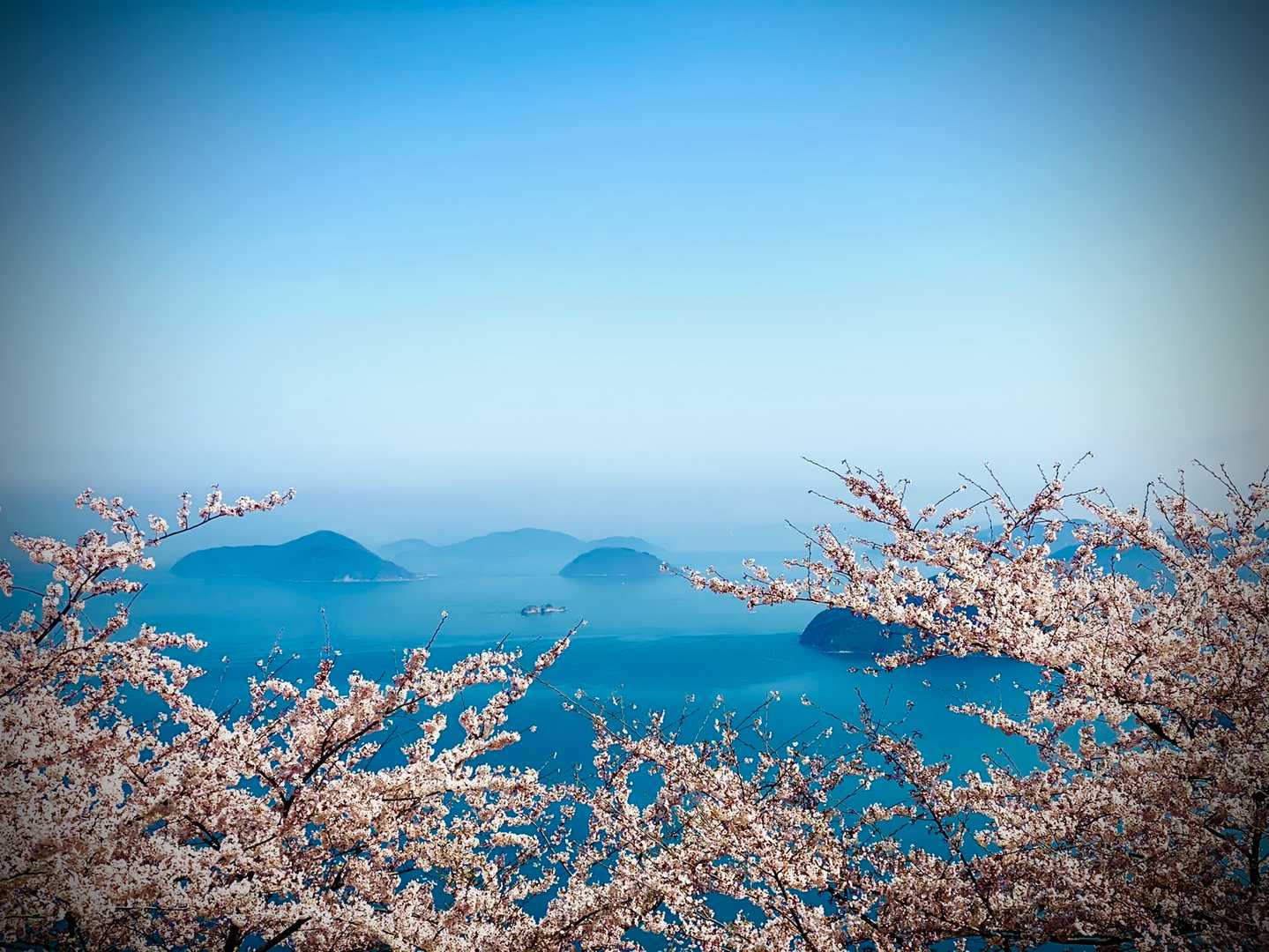 紫雲出山往復 | 漁港から山頂へ。瀬戸内海の島々を望むドラマチック眺望コースの写真