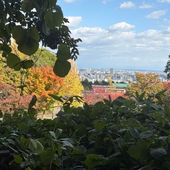 隙間からは
都会のビルが見えます🏙️


さ、今日はおしまい


山歩きは最高の気分転換です♪♪


あーー気持ちよかったー😊