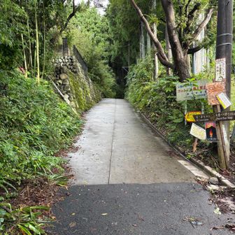 ここから登山道