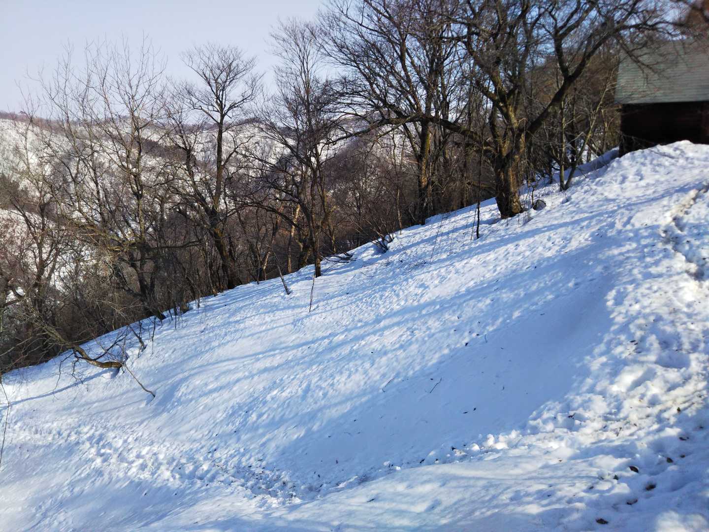 気温上昇、雪崩が落ちきるまで谷の林道は敬遠