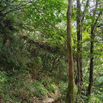 下山の頃には雨が止んでしまいました