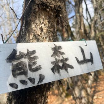 もちろん誰にも会わず…
ここからの下りが2度と行きたくないかも。