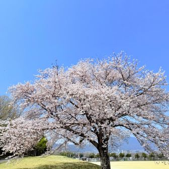 立派
人おったけど綺麗に加工で消せたわ
すごいなー