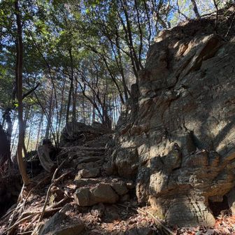 男坂から登ります。