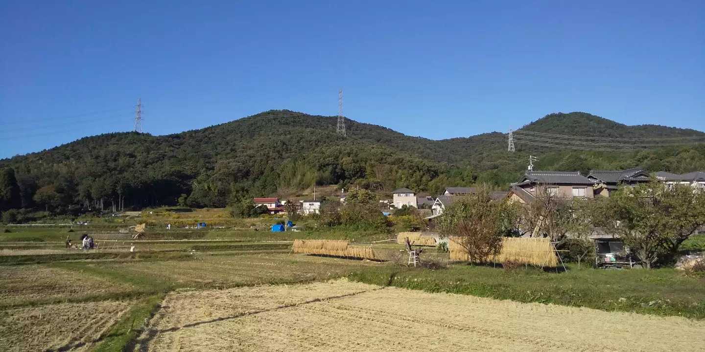 道樹山の写真