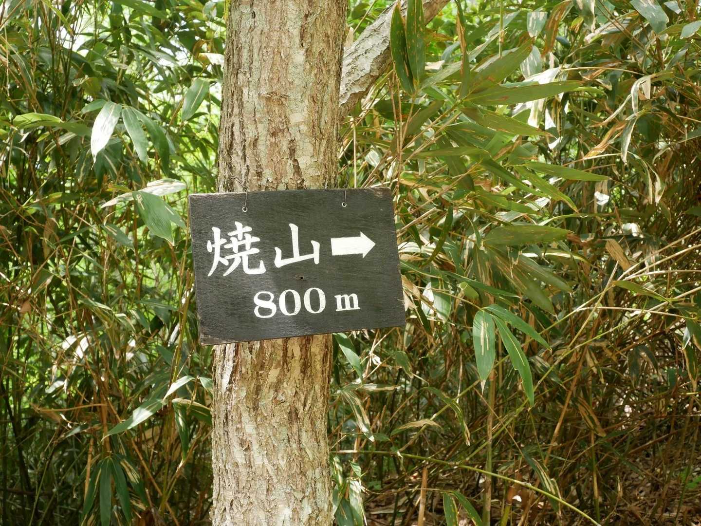 道標がたくさんあります