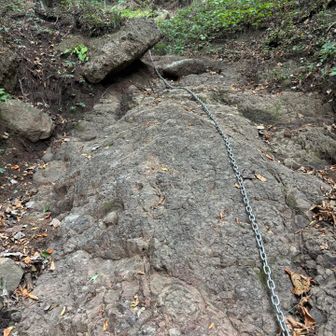 最初から急登で、鎖も出てくる