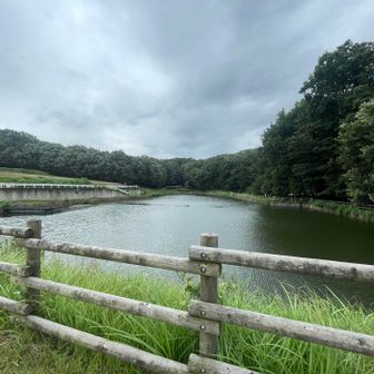 見どころの一つ、池