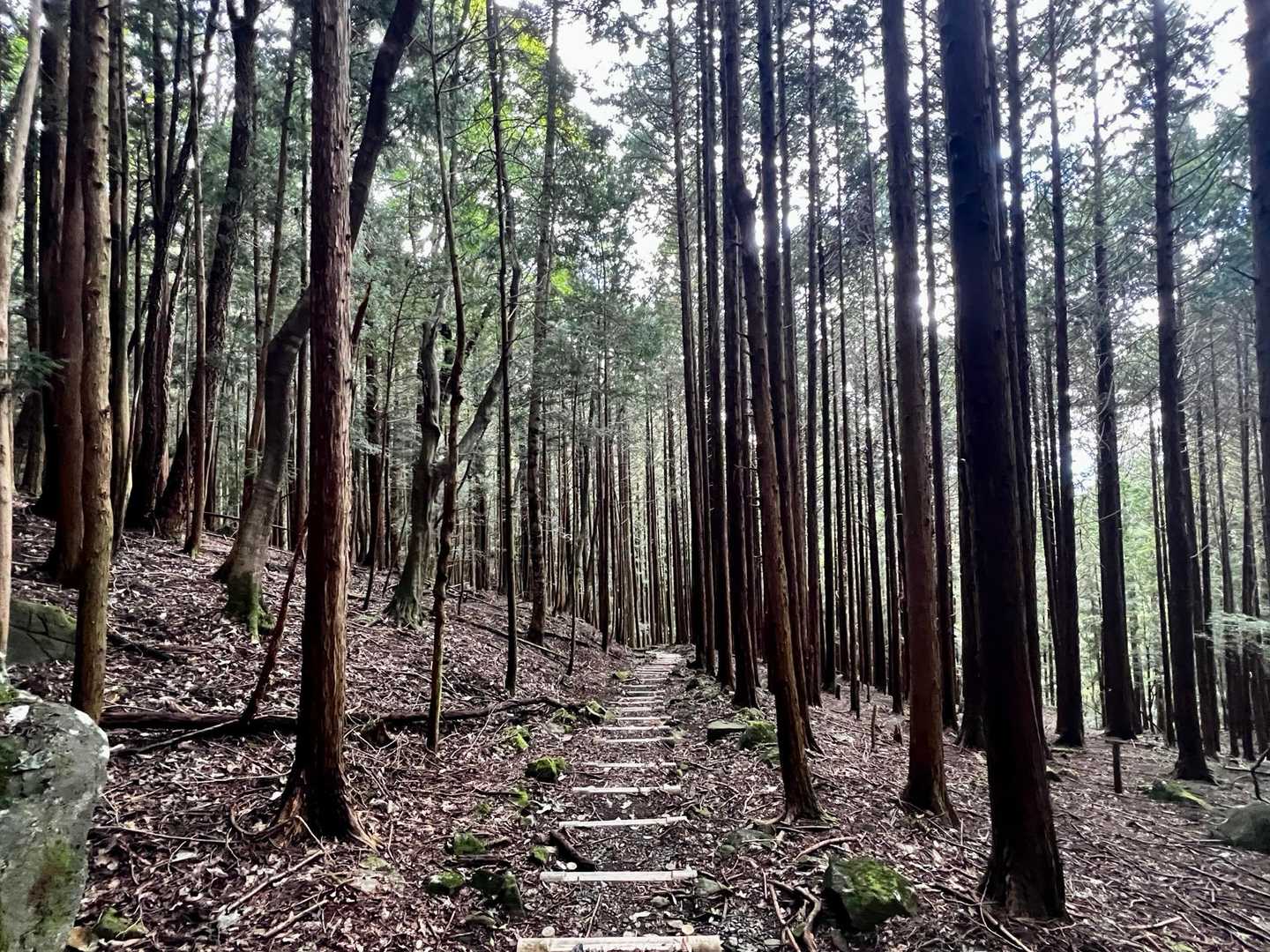 ここからは来た道を
下山します！