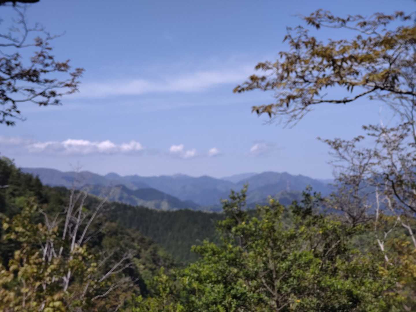 時々見える、景色に、癒やされながら降ります😊
お山の汽車ポッポ的な雲☁