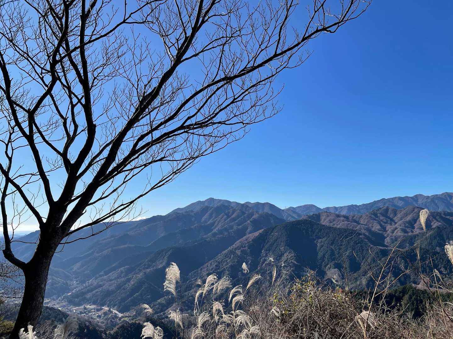 大山から、