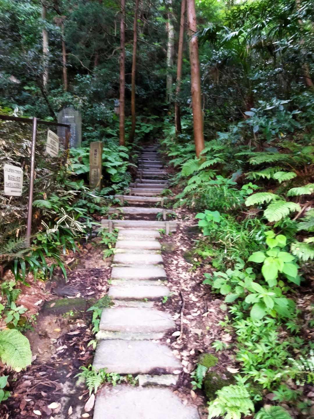 八雲神社-祇園山-東勝寺跡 縦走コースの写真