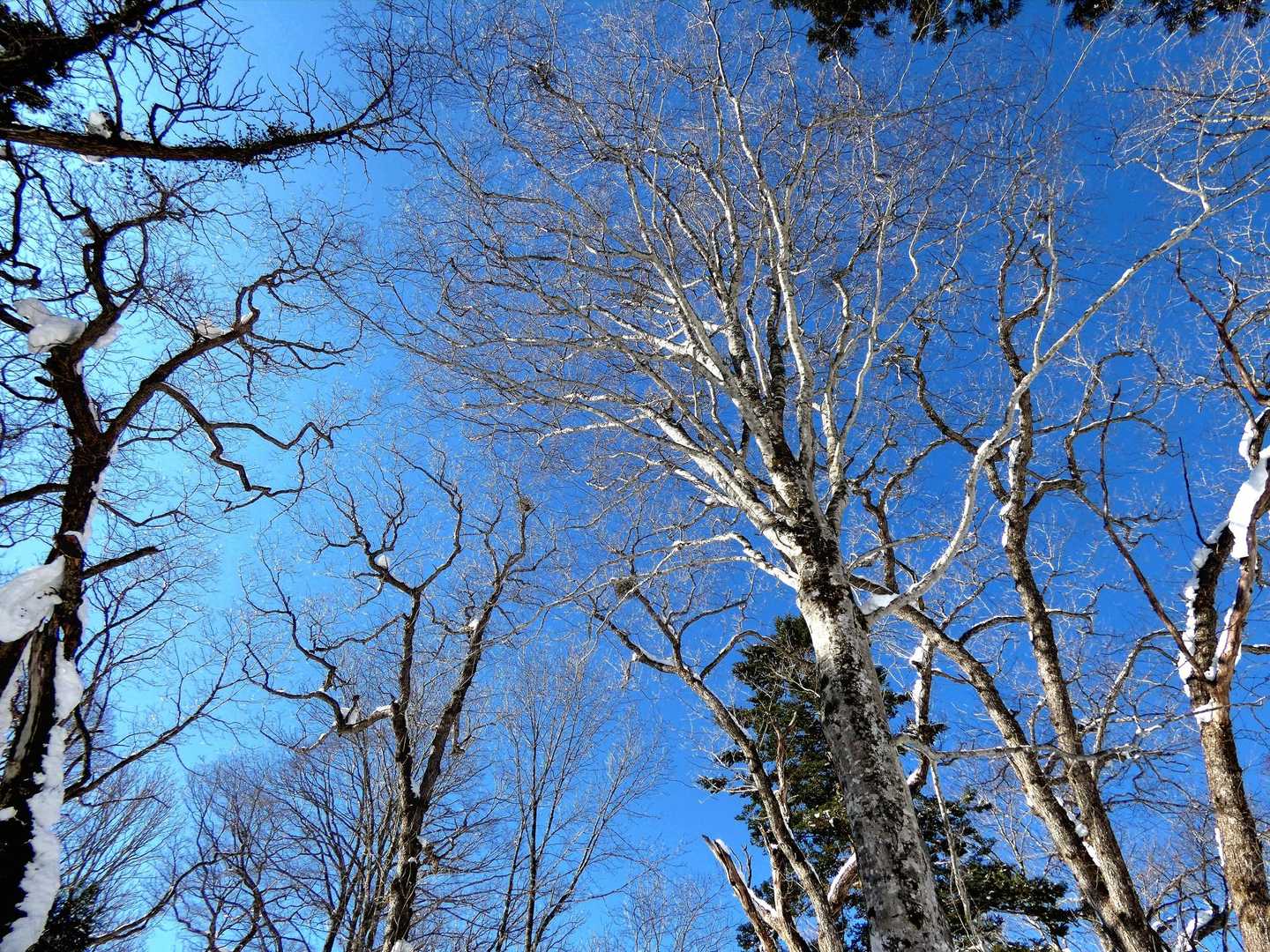 紺碧の空