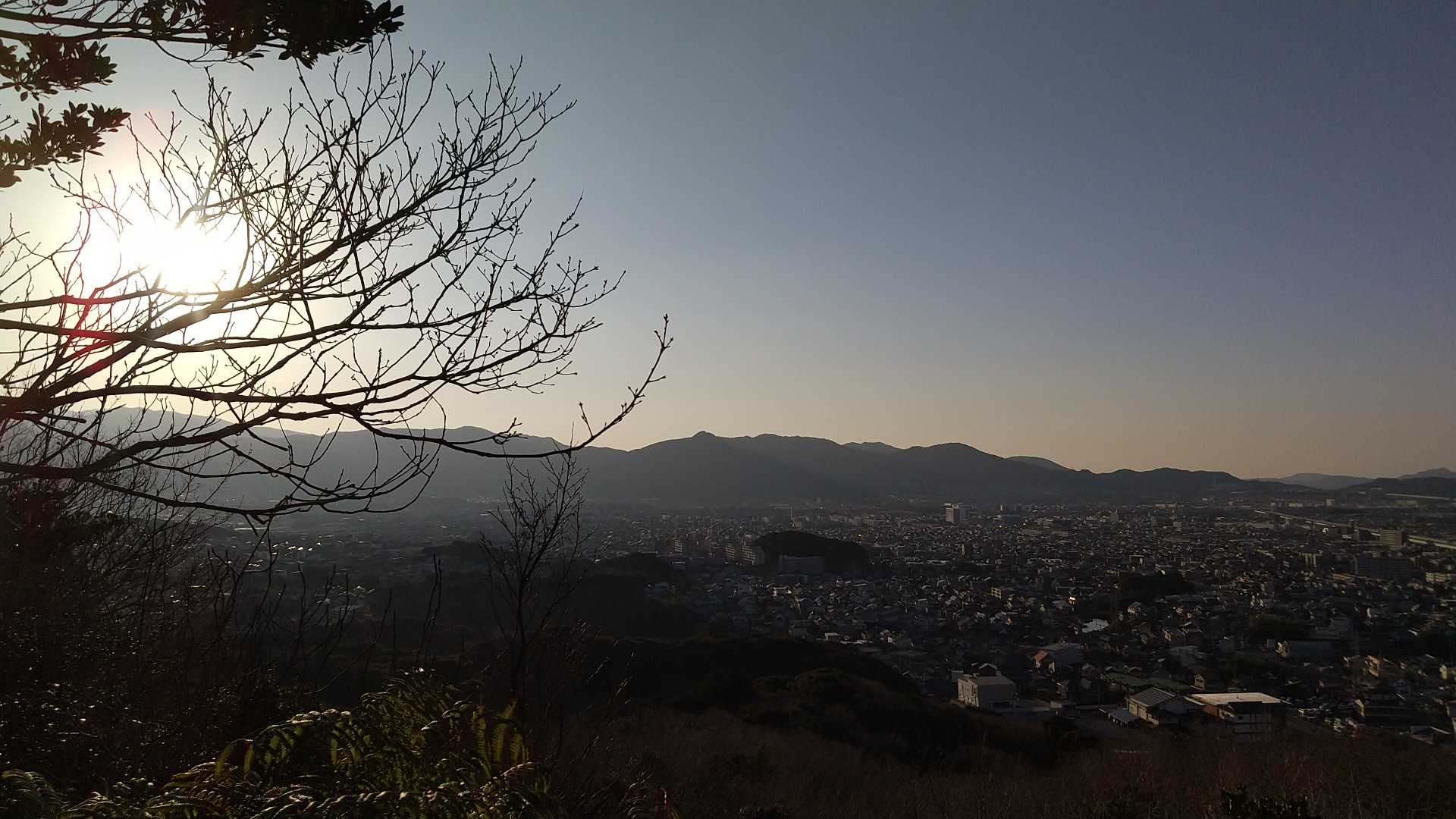 梅林緑道300m標示辺りより夕日を