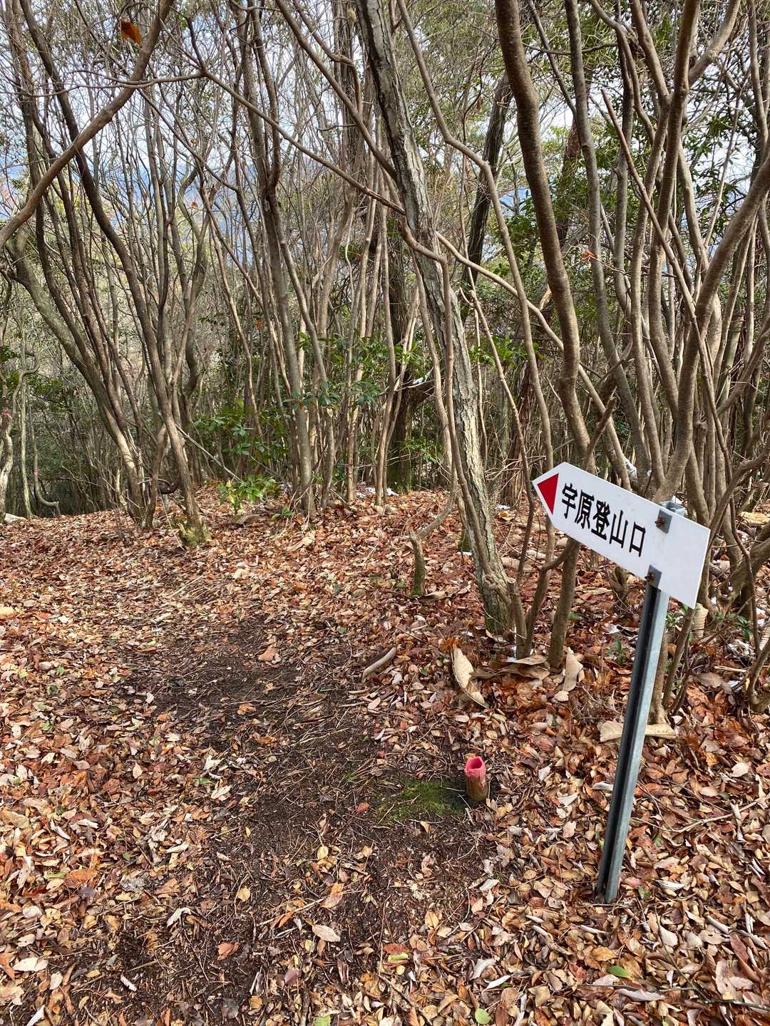 南山の写真