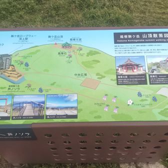 ほぼロープウェイの客。