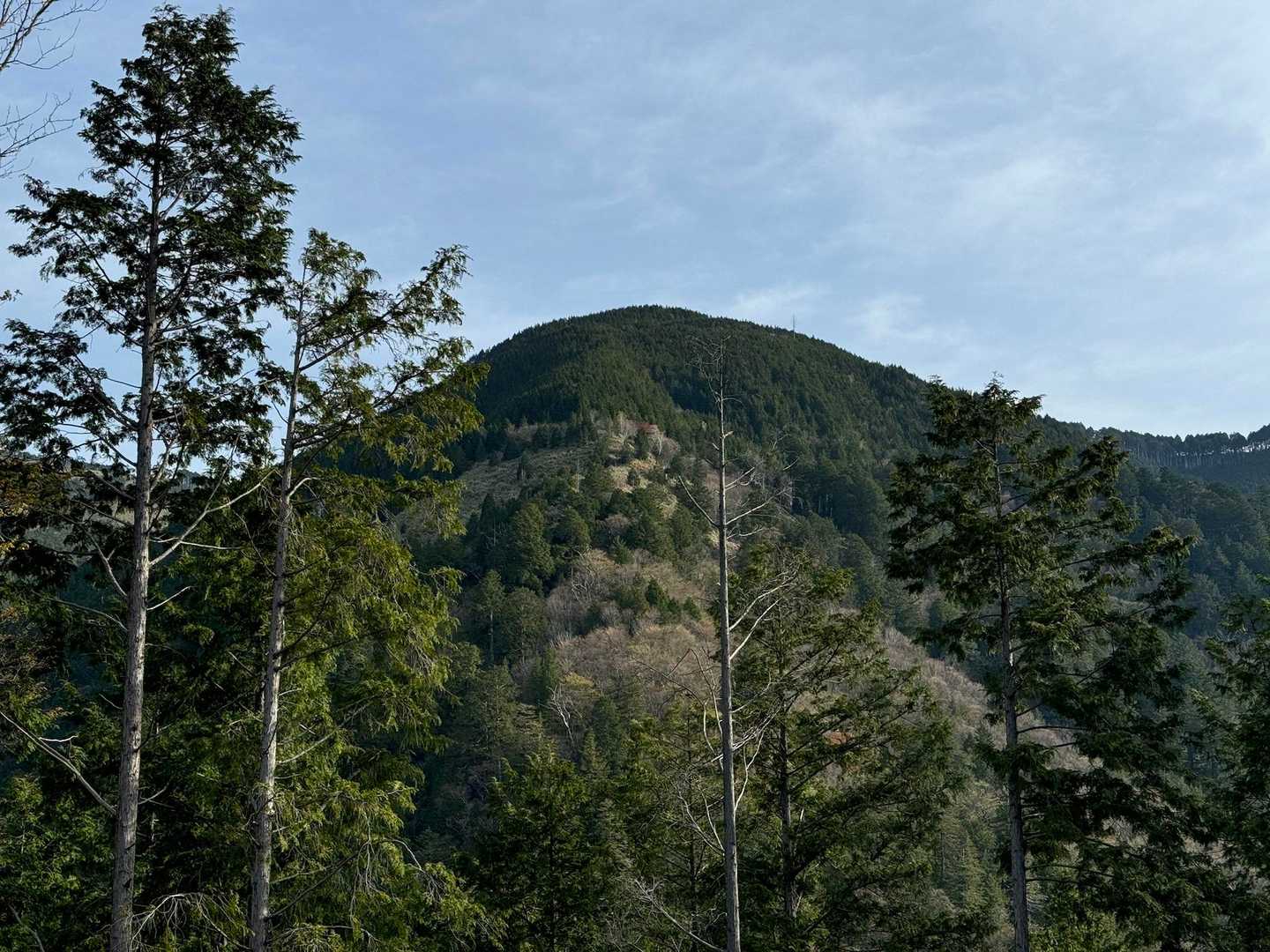 右手に見えるのは夕森山