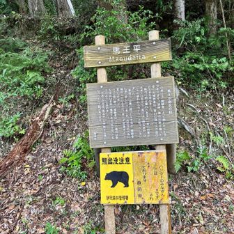 馬王平まで降りてきました