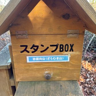 ざらむって読むんだ！